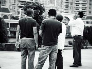 cctv f在线观看,在线观看轻松获取  第3张